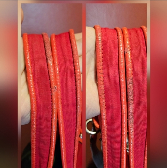 Coach Poppy - Picture 6 of 9